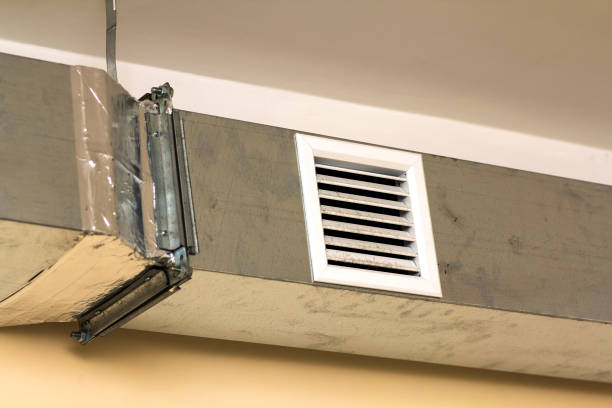 Air Duct Mold Removal in Belleville, MI